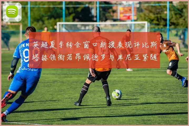 英超夏季转会窗口新援表现评比斯塔赫领衔若昂佩德罗与库尼亚紧随其后