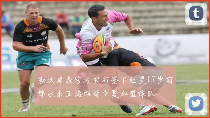 勒沃库森官方宣布签下红星17岁前锋达米亚诺维奇今夏加盟球队
