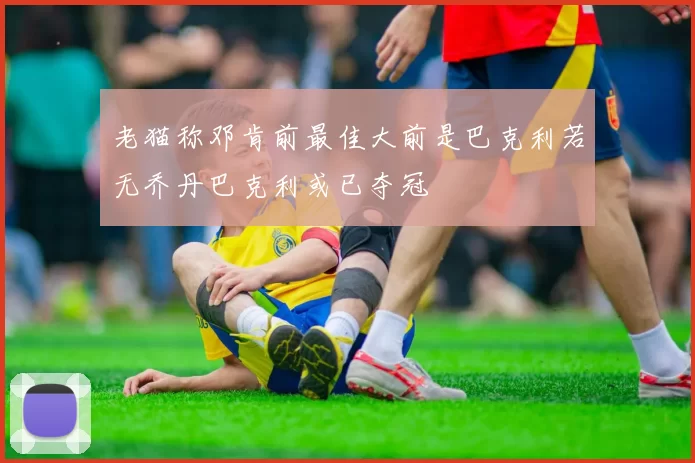 老猫称邓肯前最佳大前是巴克利若无乔丹巴克利或已夺冠