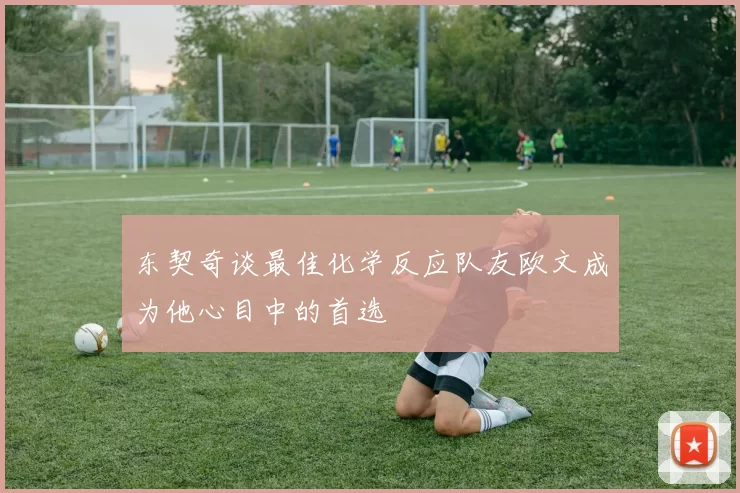 东契奇谈最佳化学反应队友欧文成为他心目中的首选